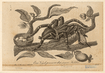 Image ID 835986
