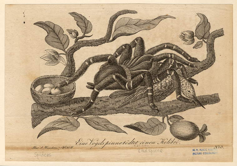 Image ID 835986
