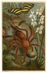 Image ID 835990