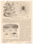 Image ID 835993