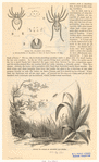 Image ID 835994