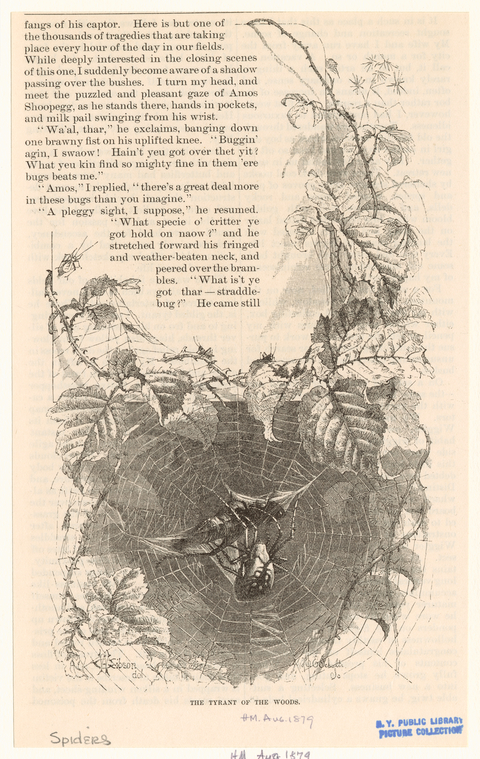 Image ID 835997

