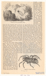 Image ID 835998