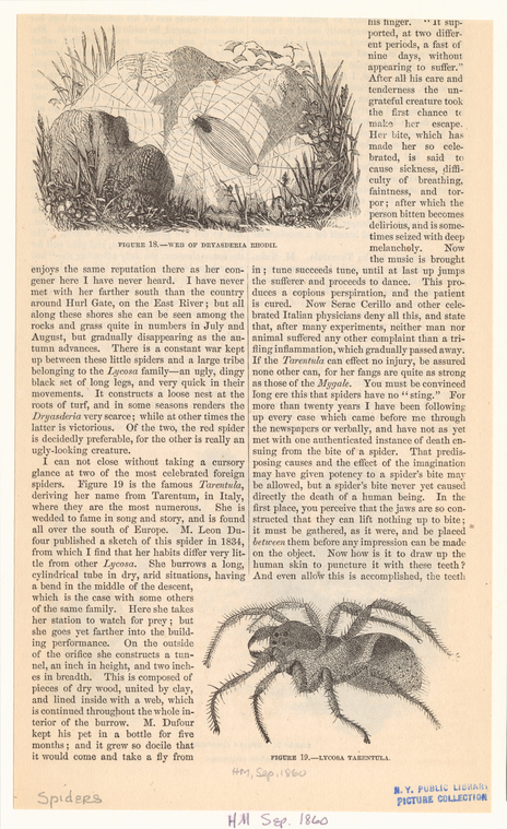 Image ID 835998
