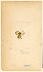 Image ID 835999