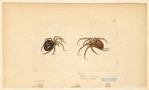 Image ID 836000