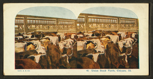 Union Stock Yards [stockyards]... Digital ID: g90f177_004f. New York Public Library