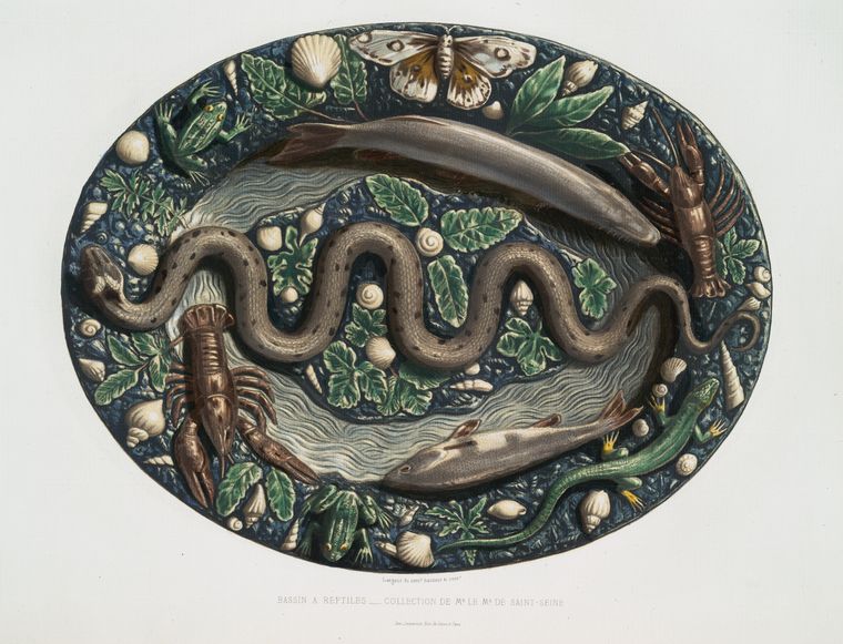 Bassin à reptiles, collection de Mr. le Ms. de Saint-Seine. - NYPL