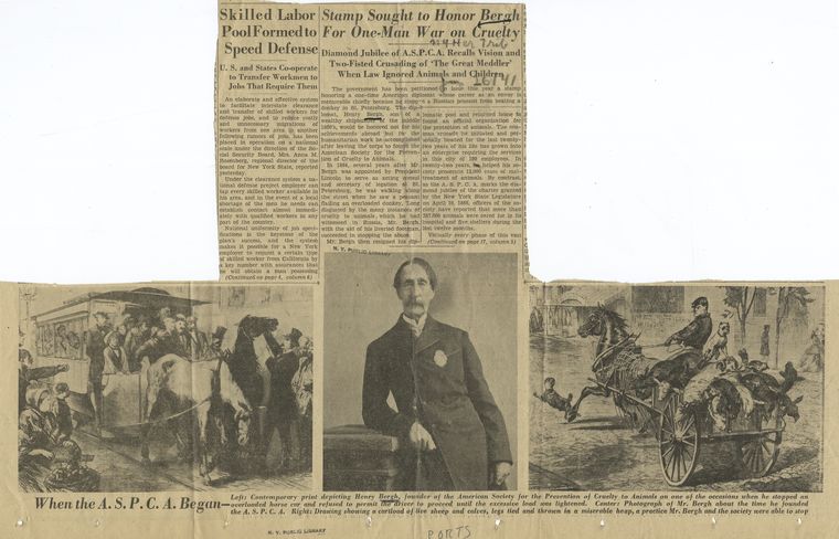 Left : contemporary print depicting Henry Bergh, founder of the American  Society for the Prevention of Cruelty to Animals on one of the occasions  when he stopped an overloaded horse car and
