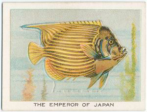 The emperor of Japan. Digital ID: 1150432. New York Public Library