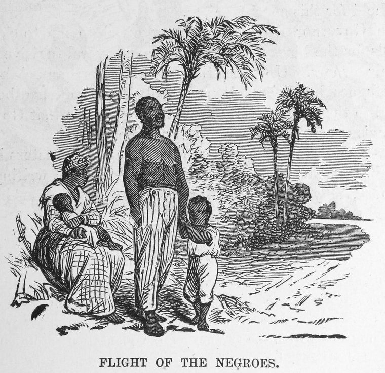 Flight of the negroes.