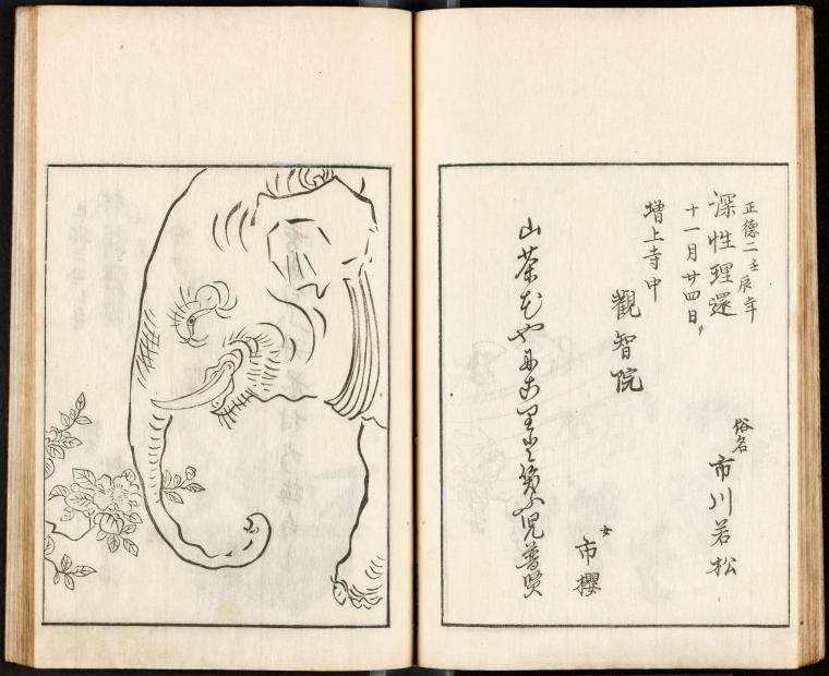 Elephant and camellia.; verse by Shiô市桜, wife of the actor Ichikawa Wakamatsu市川若松 (d. 1712)
