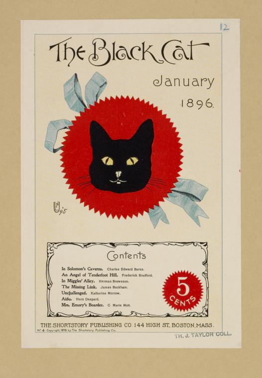 The black cat. January 1896.