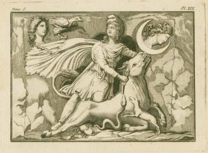 [Mithras sacrificing the bull.... Digital ID: 1623876. New York Public Library