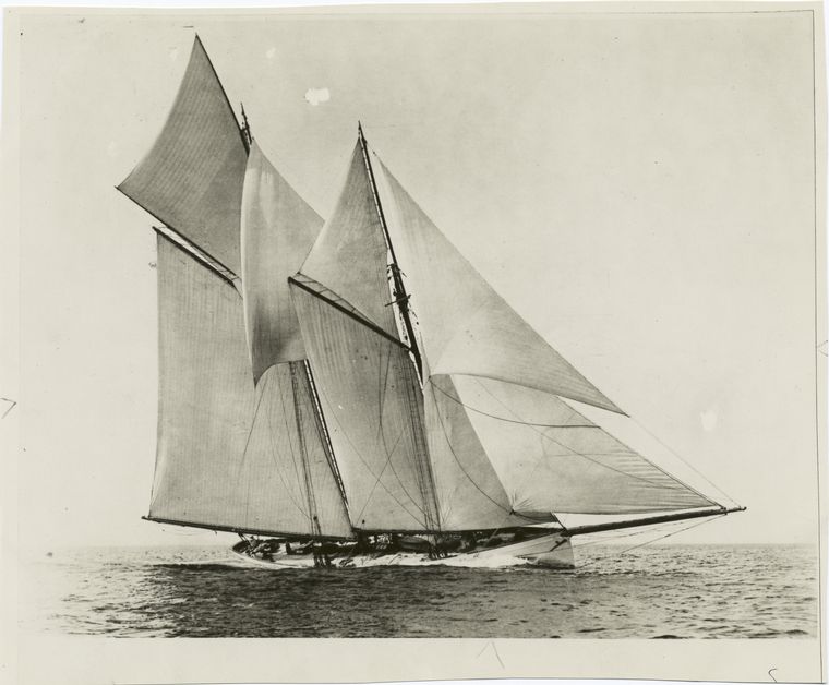 The Mayflower, from a photograph, 1891. - NYPL Digital Collections