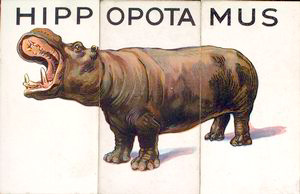 Hippopotamus. Digital ID: 436886. New York Public Library