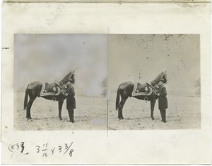 General Grant and his horse. Digital ID: 437493. New York Public Library