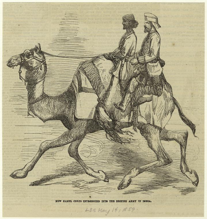 New camel corps introduced into the British army in India.