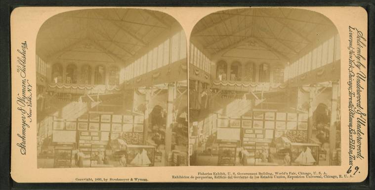 This is What Worlds Columbian Exposition Looked Like  in 1893 