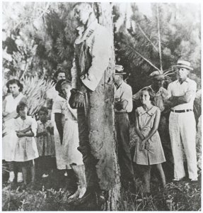 Rubin Stacey, lynched victim, hanging from a tree, surrounded by onlookers, including girls, Fort Lauderdale, Florida.