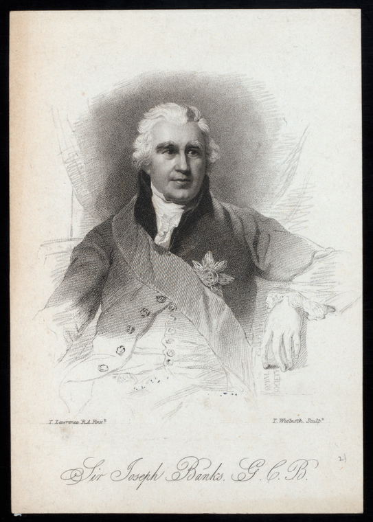 Sir Joseph Banks, G.C.B., Digital ID 1104662, New York Public Library