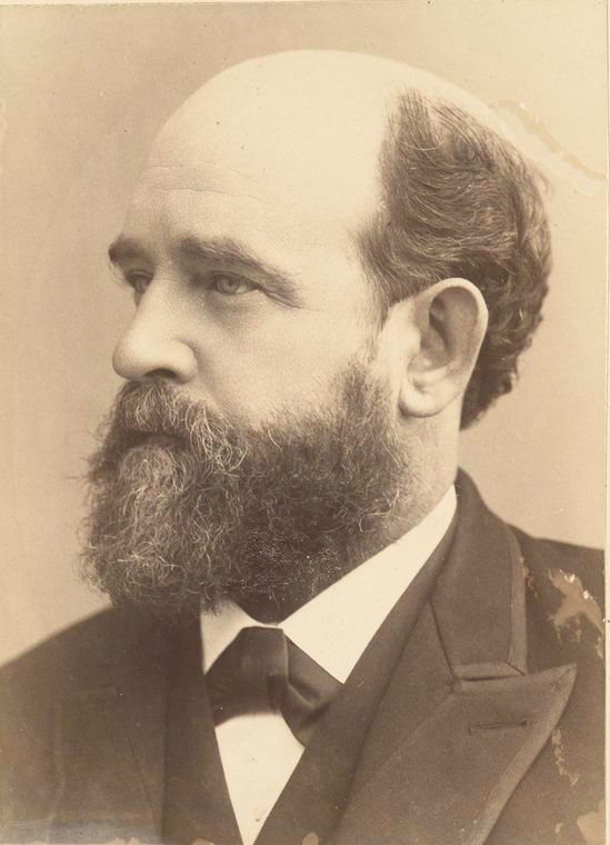 Henry George., Digital ID 1160305, New York Public Library