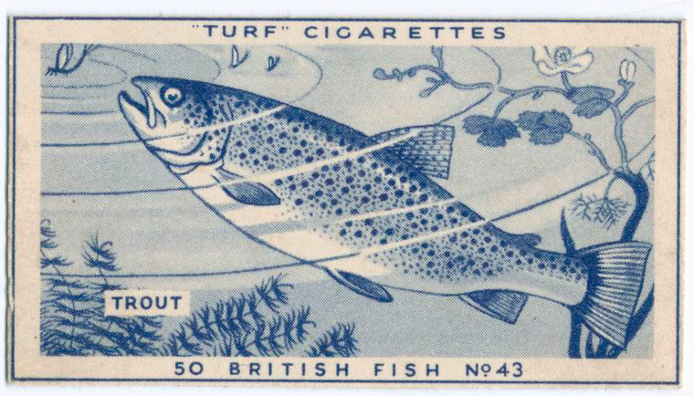 Trout. , Digital ID 1197718, New York Public Library