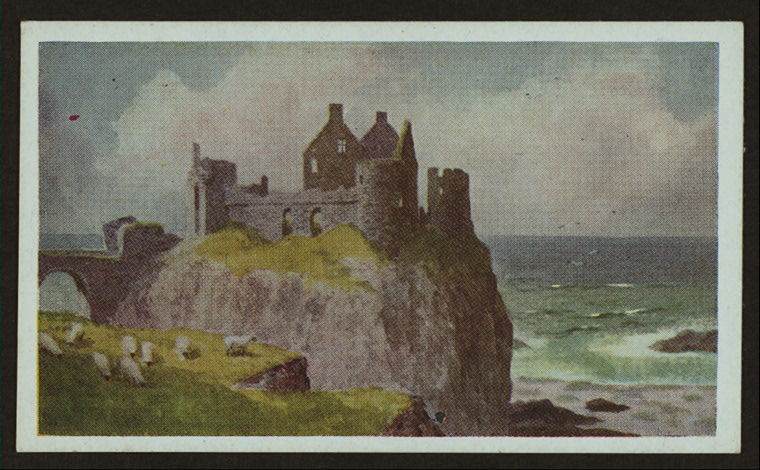 Castles of Ireland; ancient and modern., Digital ID 1202670, New York Public Library