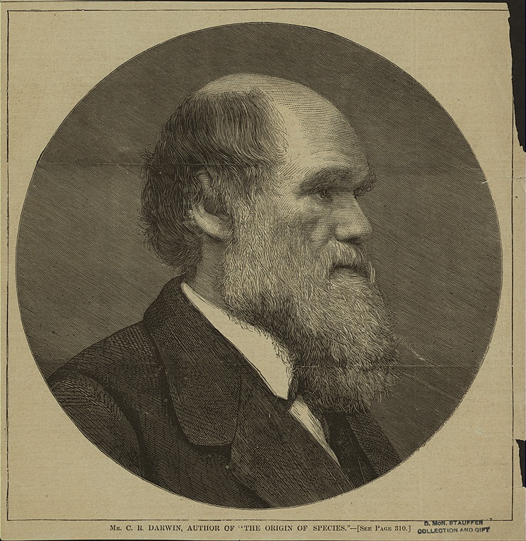 The Importance Of Earthworms Darwin S Last Manuscript The New York Public Library