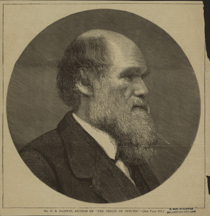 Charles Darwin., Digital ID 1220211, New York Public Library