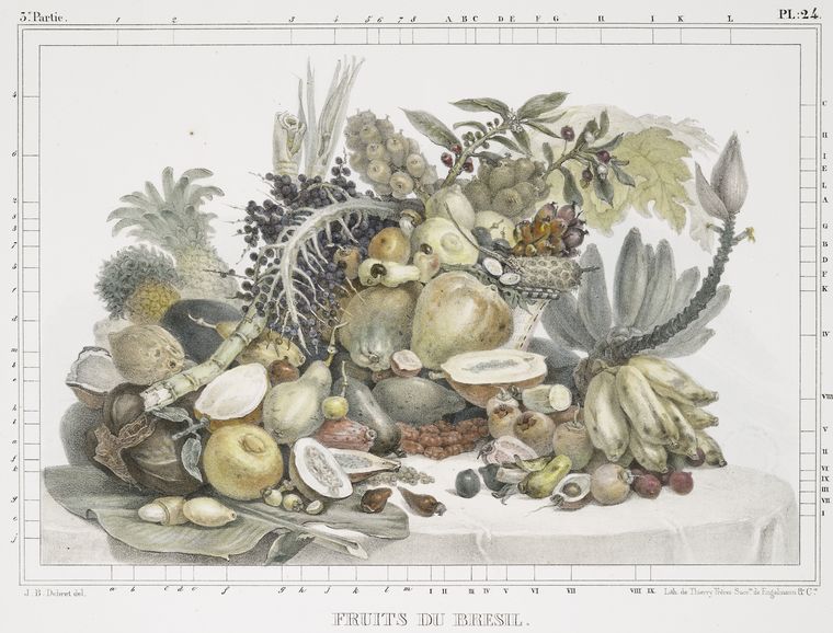 Fruits de Brésil., Digital ID 1224151, New York Public Library