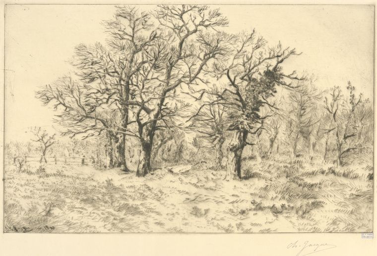 [Group of leafless trees.], Digital ID 1227172, New York Public Library