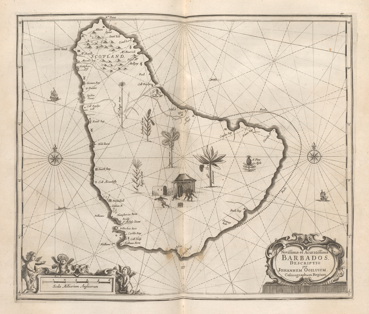 Novissima et Acuratissima Barbados. Descriptio per Johannem Ogiluium Cosmographum Regium, Digital ID 1505041, New York Public Library