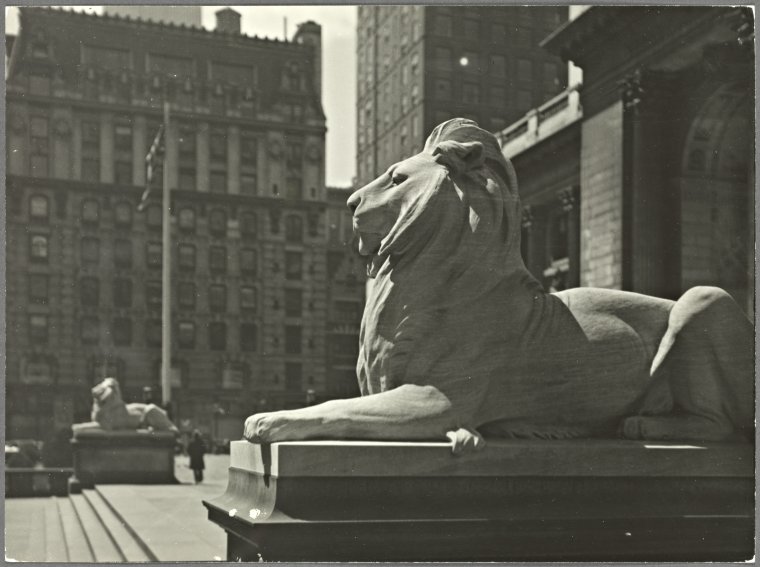 Fifth Avenue,Statues - New York Public Library - Lions, Digital ID 1558545, New York Public Library