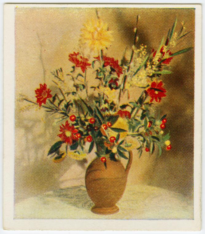 [Winter solanum]., Digital ID 1575284, New York Public Library