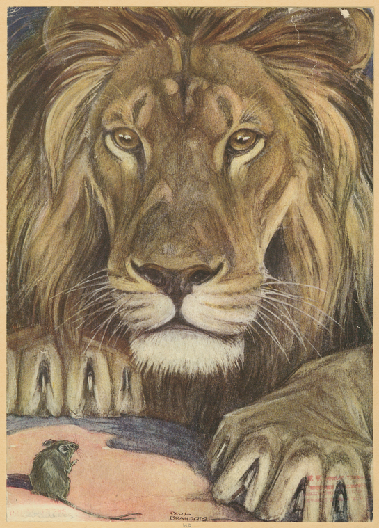 The lion and the mouse.,["The mouse besought him to spare one who had so unconsciously offended."], Digital ID 1699108, New York Public Library