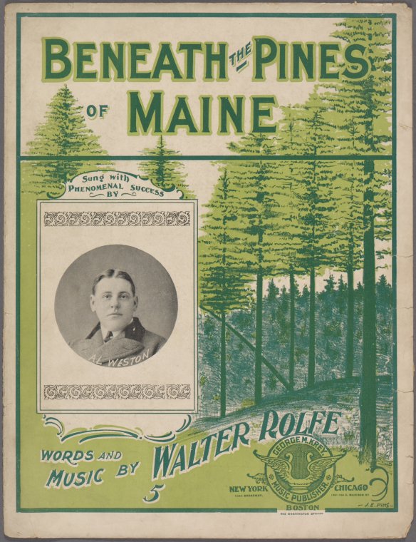 Neath the waving pines of Maine there stands a homestead. [first line],Beneath the pines of Maine / words and music by Walter Rolpe,Maine, dear old pine tree state. [first line of chorus], Digital ID 1953196, New York Public Library