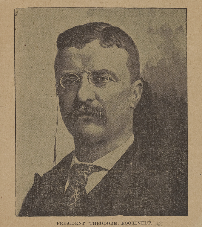 President Theodore Roosevelt., Digital ID 2006962, New York Public Library