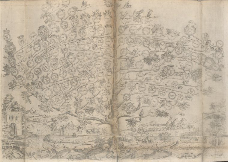 Family Tree., Digital ID 2020706, New York Public Library