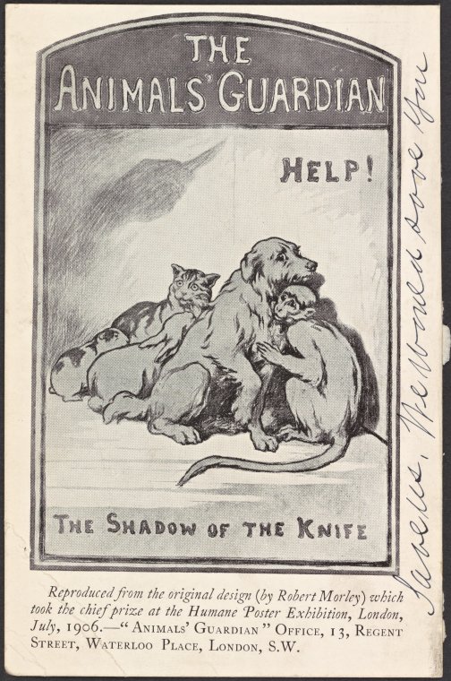 The Animal's Guardian. Help! The shadow of the knife., Digital ID 2054684, New York Public Library