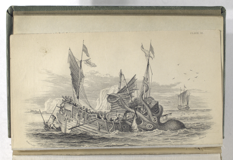 The Kraken supposed a Sepia or Cuttle Fish., Digital ID 400638, New York Public Library