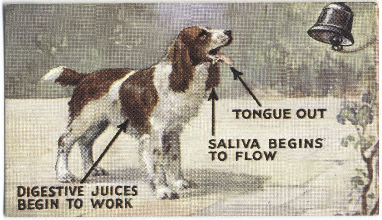 Dog's conditioned reflex., Digital ID 407635, New York Public Library