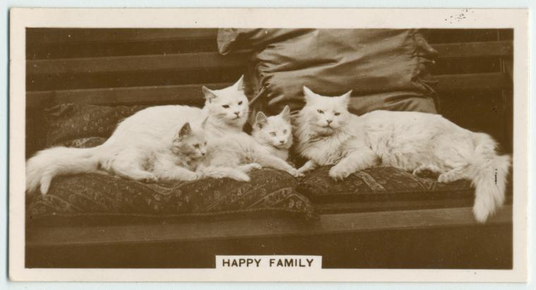 Happy family., Digital ID 411416, New York Public Library