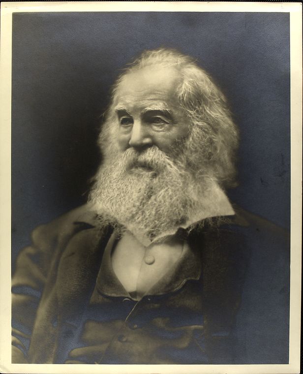 [Portrait of Walt Whitman, 1881.], Digital ID 427879, New York Public Library