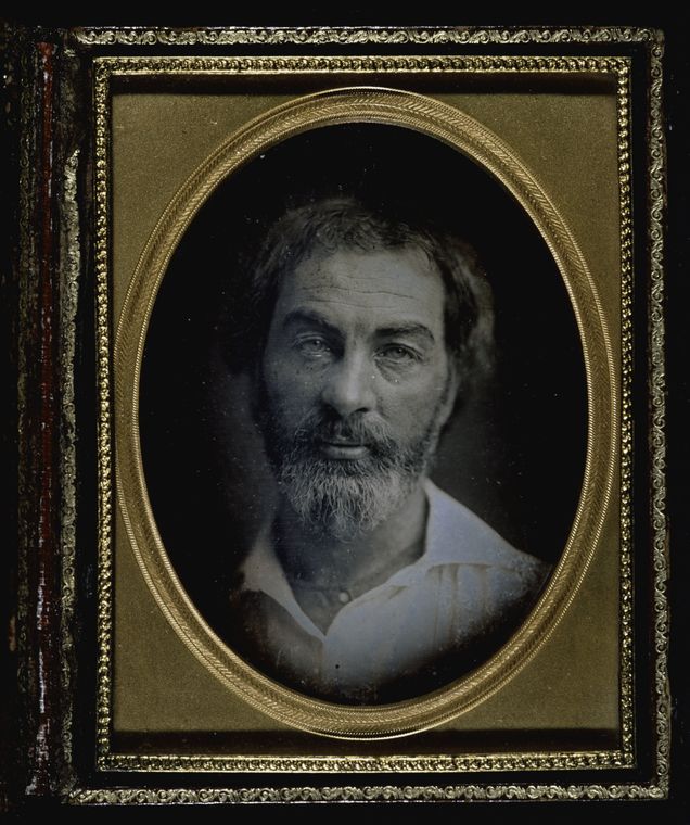 [Daguerreotype portrait of Walt Whitman.], Digital ID 427882, New York Public Library