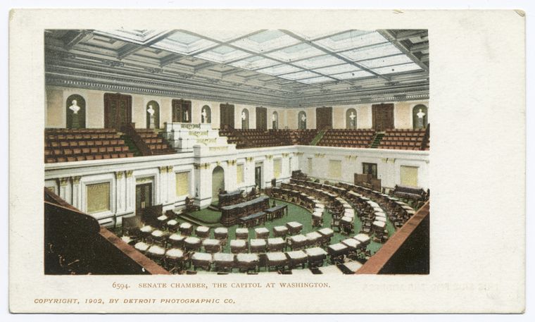 The Capitol, Senate Chamber, Washington, D. C., Digital ID 62868, New York Public Library