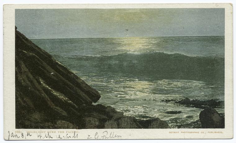 Moonlight over the Pacific, Scenic, Digital ID 66815, New York Public Library