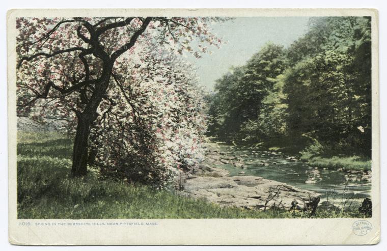 Spring in the Berkshire Hills, Berkshire Hills, Mass., Digital ID 69385, New York Public Library