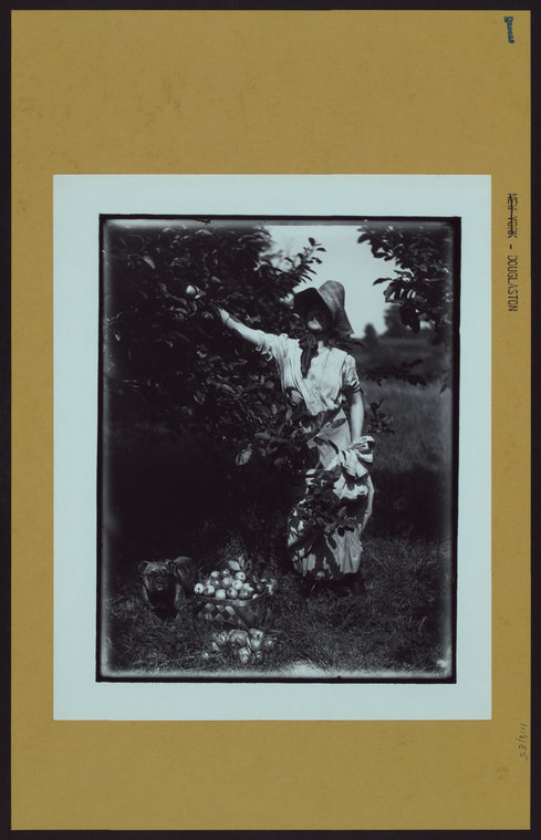  Douglaston., Digital ID 726487F, New York Public Library