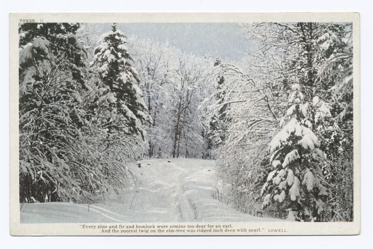 Snow Scene, Digital ID 74120, New York Public Library